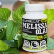 JAVALLAT® Melissa olaj étrend-kiegészítő gyógynövénykapszula JAVALLAT® Melissa olaj étrend-kiegészítő gyógynövénykapszula