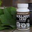 Walnut Leaf - Diólevél Walnut Leaf - Diólevél