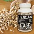 JAVALLAT® Csalángyökér étrend-kiegészítő gyógynövény-kapszula JAVALLAT® Csalángyökér étrend-kiegészítő gyógynövény-kapszula