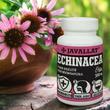 JAVALLAT® ECHINACEA étrend-kiegészítő gyógynövénykapszula JAVALLAT® ECHINACEA étrend-kiegészítő gyógynövénykapszula