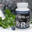 JAVALLAT® FEKETE ÁFONYA LEVÉL étrend-kiegészítő gyógynövénykapszula JAVALLAT® FEKETE ÁFONYA LEVÉL étrend-kiegészítő gyógynövénykapszula
