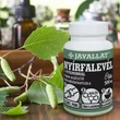 JAVALLAT® NYÍRFALEVÉL C-VITAMINNAL étrend-kiegészítő gyógynövénykapszula