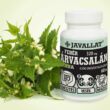 JAVALLAT® Fehér árvacsalán herba kapszula - SonicFine® gyógynövényporból