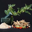 Ashwaganda vagy álombogyó (Withania somnifera)