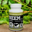 JAVALLAT® Neem levél kapszula - SonicFine® gyógynövényporból JAVALLAT® Neem levél kapszula - SonicFine® gyógynövényporból