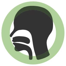 Torok, száj, garat és hangszálak egészsége