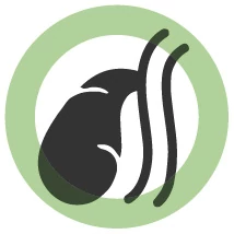 Epeműködés támogatása