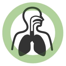 Alsó légutak (tüdő) egészsége