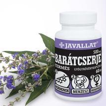 Barátcserje termés