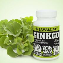 JAVALLAT® GINKGO étrend-kiegészítő gyógynövénykapszula