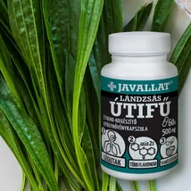 JAVALLAT® LÁNDZSÁS ÚTIFŰ étrend-kiegészítő gyógynövénykapszula