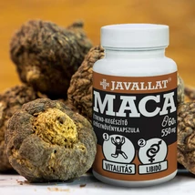 JAVALLAT® MACA étrend-kiegészítő gyógynövénykapszula JAVALLAT® MACA étrend-kiegészítő gyógynövénykapszula