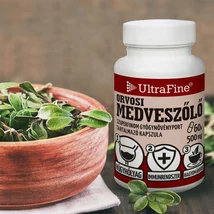 Orvosi medveszőlő