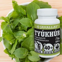Tyúkhúr