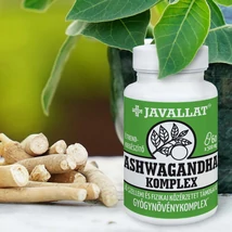 JAVALLAT® ASHWAGANDHA KOMPLEX - étrend-kiegészítő gyógynövénykapszula JAVALLAT® ASHWAGANDHA KOMPLEX - étrend-kiegészítő gyógynövénykapszula