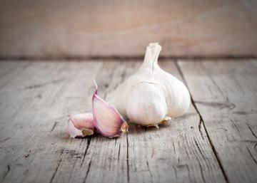 allium-sativum