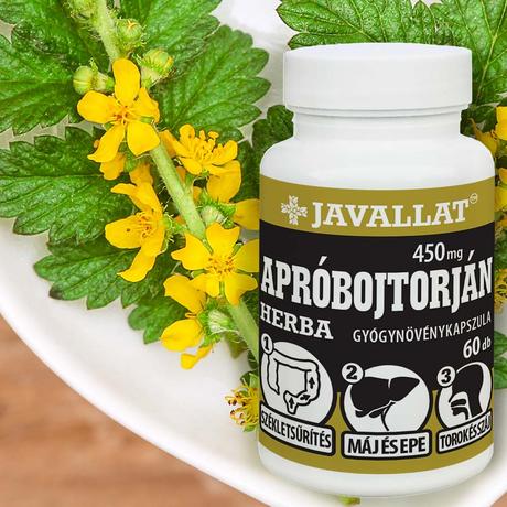 JAVALLAT® Apróbojtorján herba kapszula - SonicFine® gyógynövényporból