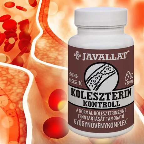 JAVALLAT® KOLESZTERIN KONTROLL - étrend-kiegészítő gyógynövénykomplex JAVALLAT® KOLESZTERIN KONTROLL - étrend-kiegészítő gyógynövénykomplex