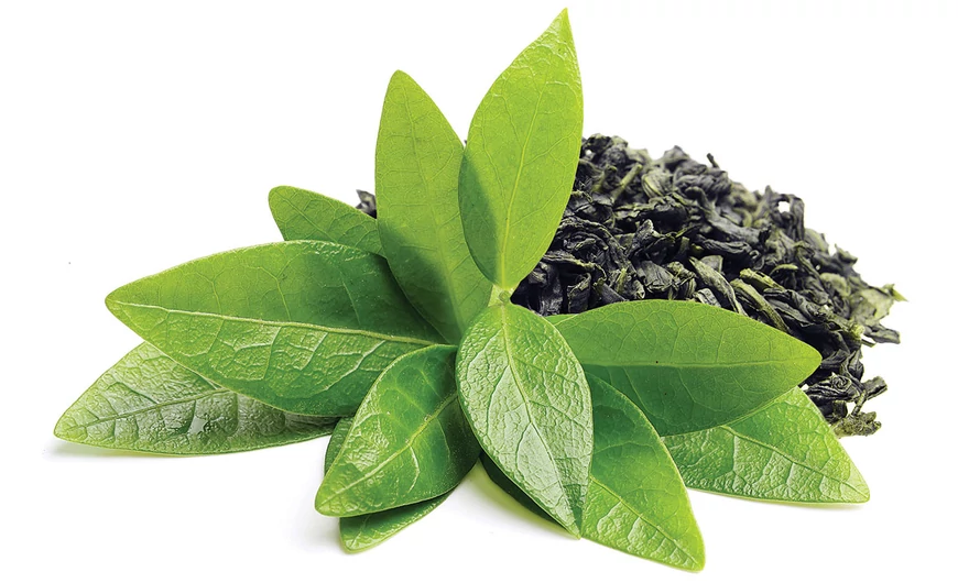 Zöld tea – levél
