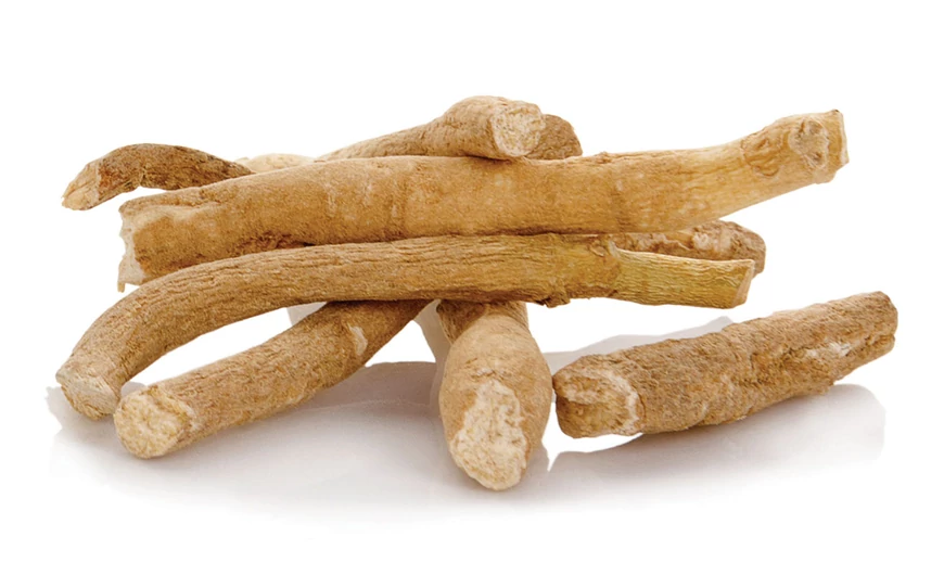 Ashwagandha – gyökér