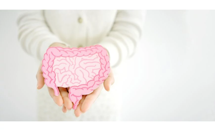 A bélrendszer – a második agyunk?