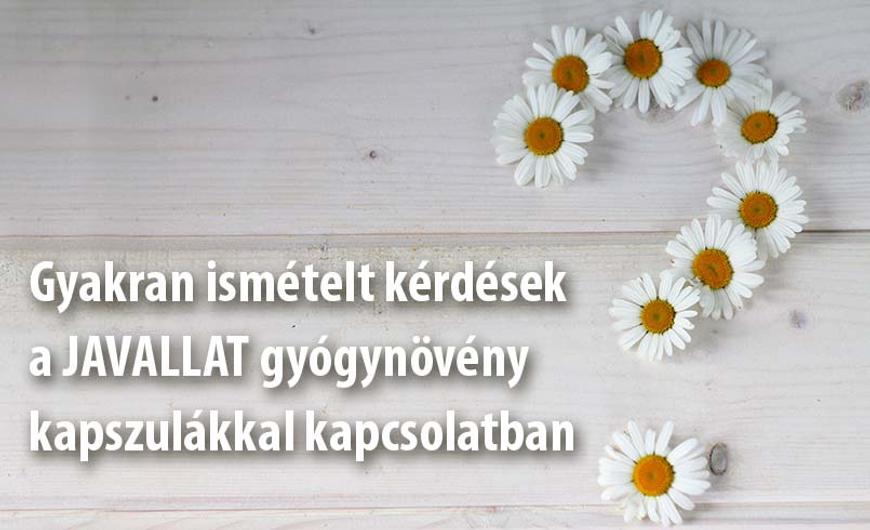 Gyakran ismételt kérdések