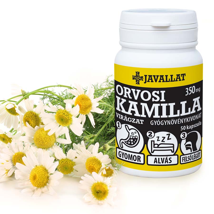 Prosztata kamilla